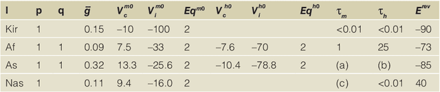 Figure 3 for Learning intrinsic excitability in medium spiny neurons