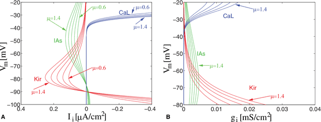 Figure 2 for Learning intrinsic excitability in medium spiny neurons