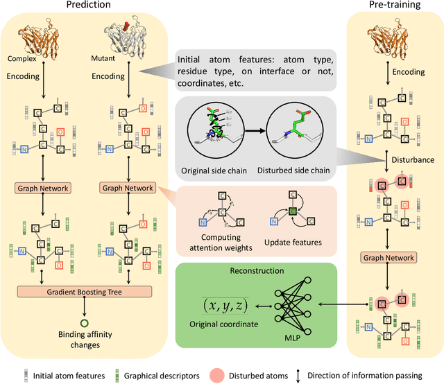 Figure 1 for Pre-training of Graph Neural Network for Modeling Effects of Mutations on Protein-Protein Binding Affinity