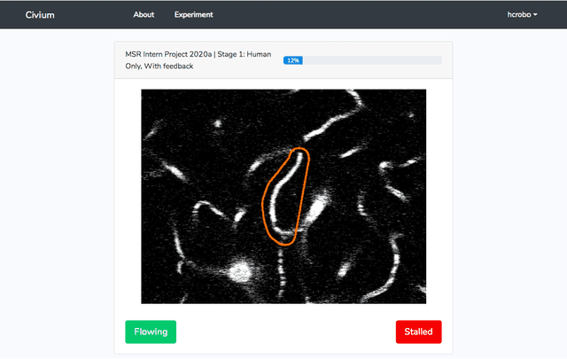 Figure 4 for Human computation requires and enables a new approach to ethical review