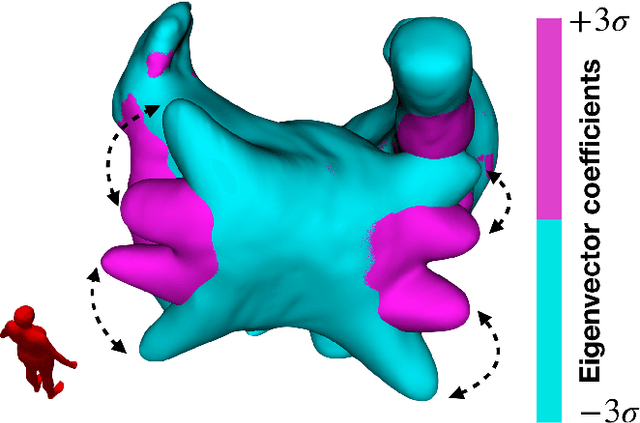Figure 2 for A bi-atrial statistical shape model for large-scale in silico studies of human atria: model development and application to ECG simulations