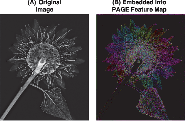 Figure 3 for Phase-Stretch Adaptive Gradient-Field Extractor (PAGE)