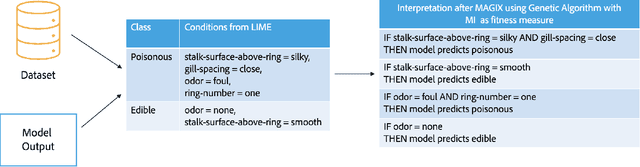 Figure 4 for Information-theoretic Evolution of Model Agnostic Global Explanations