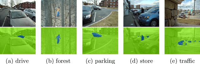 Figure 4 for A Detailed Rubric for Motion Segmentation