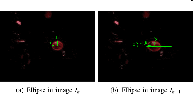 Figure 3 for Visual Servoing in Orchard Settings