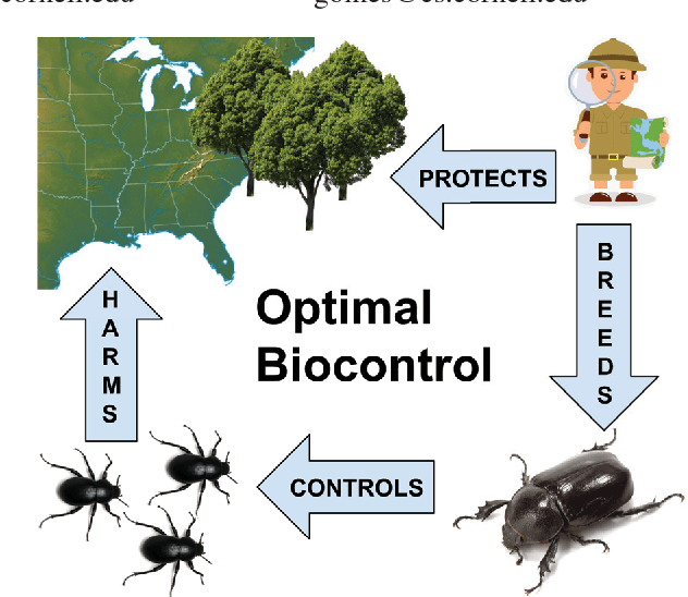 Figure 1 for Scalable Relaxations of Sparse Packing Constraints: Optimal Biocontrol in Predator-Prey Network