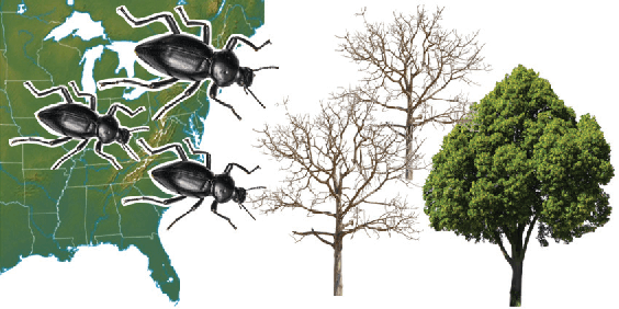 Figure 4 for Scalable Relaxations of Sparse Packing Constraints: Optimal Biocontrol in Predator-Prey Network