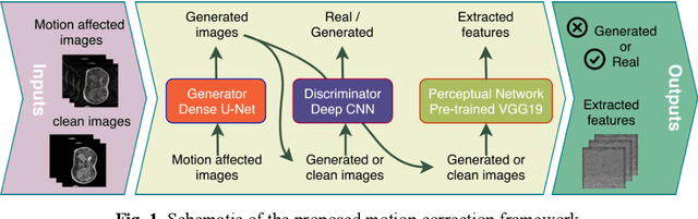 Figure 1 for Respiratory Motion Correction in Abdominal MRI using a Densely Connected U-Net with GAN-guided Training