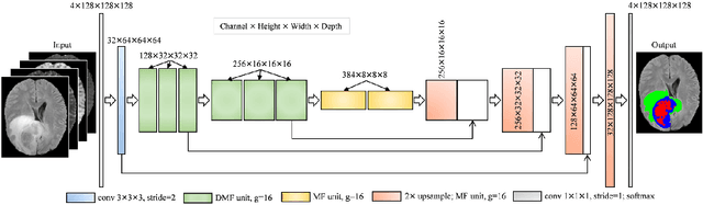 Figure 3 for 3D Dilated Multi-Fiber Network for Real-time Brain Tumor Segmentation in MRI