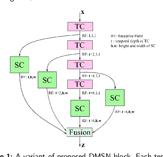 Figure 1 for Facial Expression Analysis Using Decomposed Multiscale Spatiotemporal Networks