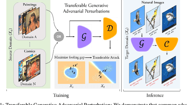 Figure 1 for Cross-Domain Transferability of Adversarial Perturbations