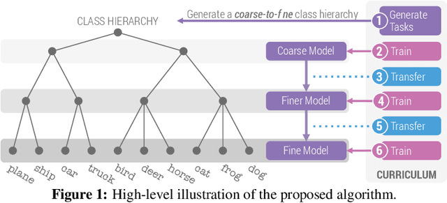 Figure 1 for Coarse-to-Fine Curriculum Learning