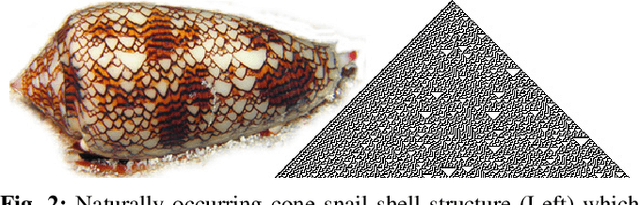 Figure 2 for Evolving Order and Chaos: Comparing Particle Swarm Optimization and Genetic Algorithms for Global Coordination of Cellular Automata