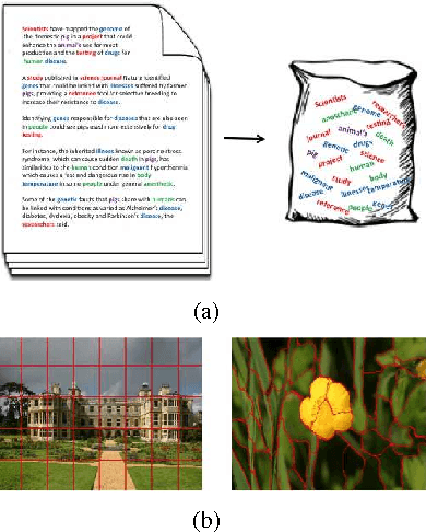 Figure 1 for Confidence-Constrained Maximum Entropy Framework for Learning from Multi-Instance Data