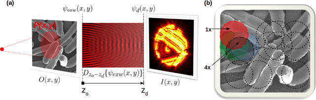 Figure 1 for A modular software framework for the design and implementation of ptychography algorithms