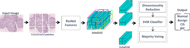 Figure 1 for Context-Aware Learning using Transferable Features for Classification of Breast Cancer Histology Images