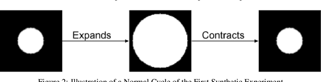 Figure 3 for Decomposition of Longitudinal Deformations via Beltrami Descriptors