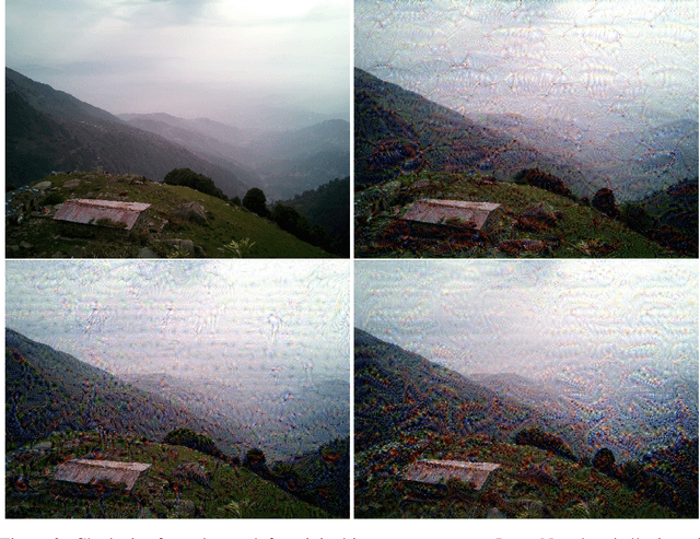 Figure 3 for LucidDream: Controlled Temporally-Consistent DeepDream on Videos