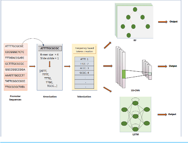 Figure 1 for Comparison of machine learning and deep learning techniques in promoter prediction across diverse species