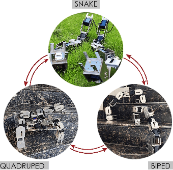 Figure 1 for ReQuBiS -- Reconfigurable Quadrupedal-Bipedal Snake Robots