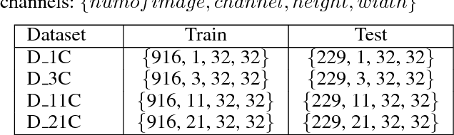 Figure 4 for Soft Activation Mapping of Lung Nodules in Low-Dose CT images