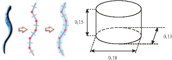 Figure 1 for The eel-like robot