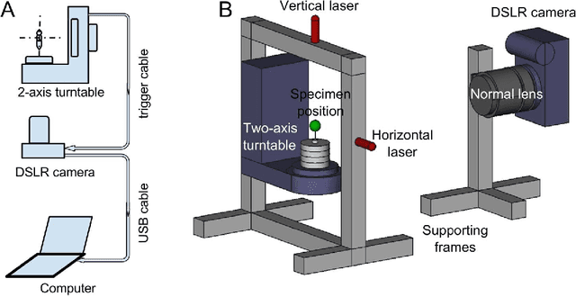 Figure 3 for Capturing natural-colour 3D models of insects for species discovery