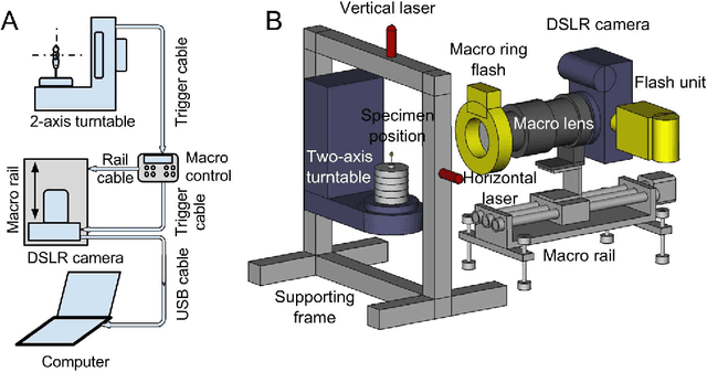 Figure 4 for Capturing natural-colour 3D models of insects for species discovery