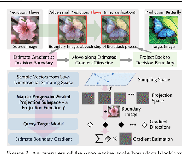 Figure 1 for Progressive-Scale Boundary Blackbox Attack via Projective Gradient Estimation