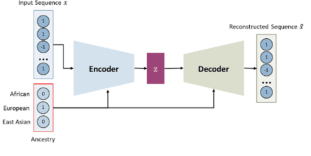 Figure 1 for Class-Conditional VAE-GAN for Local-Ancestry Simulation