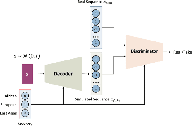 Figure 3 for Class-Conditional VAE-GAN for Local-Ancestry Simulation