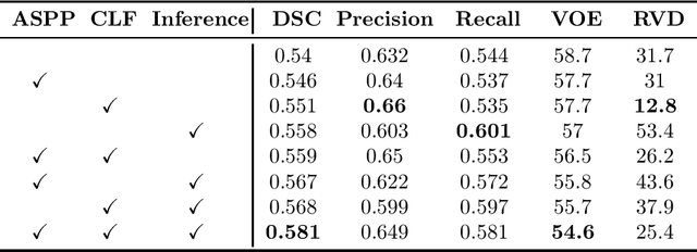 Figure 4 for CLCI-Net: Cross-Level fusion and Context Inference Networks for Lesion Segmentation of Chronic Stroke