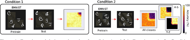 Figure 4 for Convolutional Neural Networks Are Not Invariant to Translation, but They Can Learn to Be