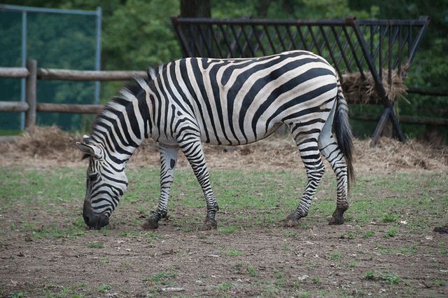 Figure 3 for Searching a Raw Video Database using Natural Language Queries