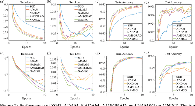 Figure 2 for NAMSG: An Efficient Method For Training Neural Networks