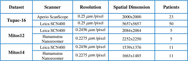 Figure 4 for Deep Object Detection based Mitosis Analysis in Breast Cancer Histopathological Images