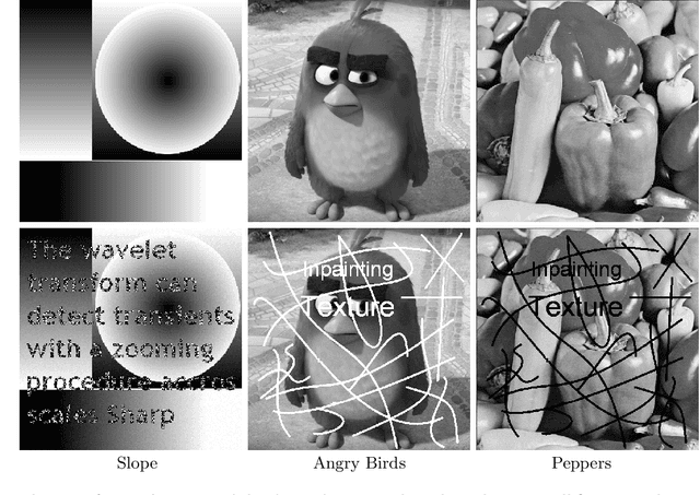Figure 1 for An Edge Driven Wavelet Frame Model for Image Restoration
