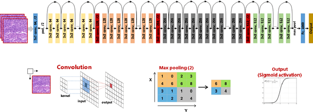 Figure 3 for Prediction of overall survival and molecular markers in gliomas via analysis of digital pathology images using deep learning