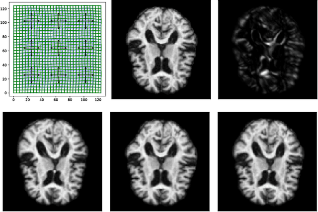 Figure 2 for Stochastic Image Deformation in Frequency Domain and Parameter Estimation using Moment Evolutions
