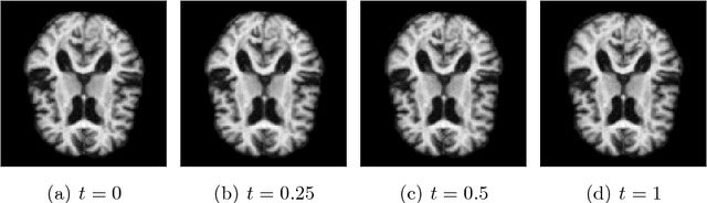 Figure 3 for Stochastic Image Deformation in Frequency Domain and Parameter Estimation using Moment Evolutions