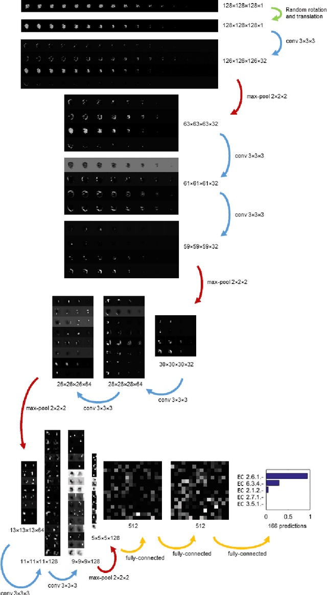 Figure 4 for 3D Deep Learning for Biological Function Prediction from Physical Fields