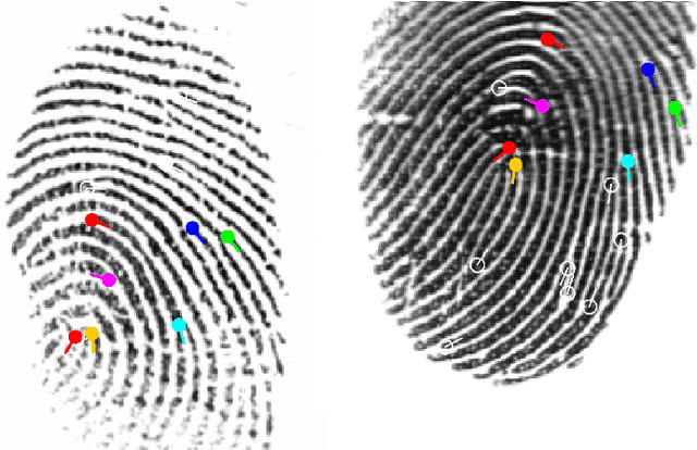 Figure 2 for Skilled Impostor Attacks Against Fingerprint Verification Systems And Its Remedy