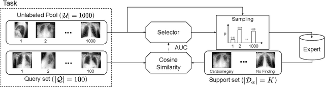 Figure 1 for MedSelect: Selective Labeling for Medical Image Classification Combining Meta-Learning with Deep Reinforcement Learning