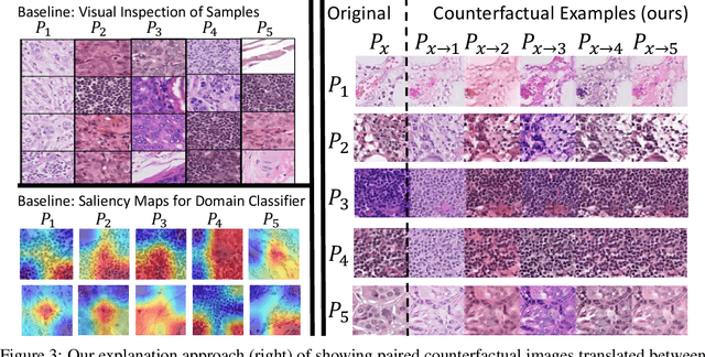 Figure 4 for Towards Explaining Distribution Shifts