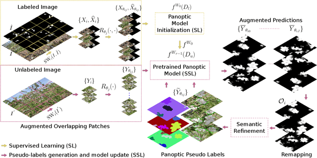 Figure 1 for Self-supervised Learning for Panoptic Segmentation of Multiple Fruit Flower Species