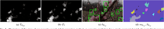 Figure 2 for Self-supervised Learning for Panoptic Segmentation of Multiple Fruit Flower Species