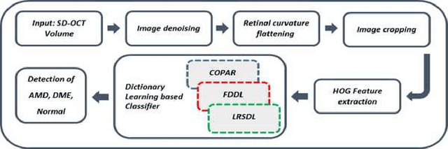 Figure 3 for Classification of dry age-related macular degeneration and diabetic macular edema from optical coherence tomography images using dictionary learning