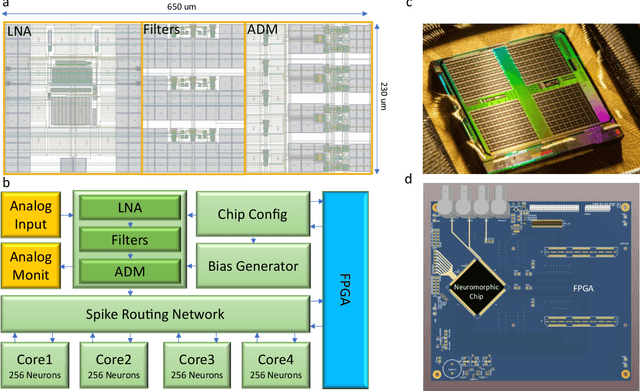 Figure 3 for An electronic neuromorphic system for real-time detection of High Frequency Oscillations (HFOs) in intracranial EEG