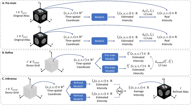 Figure 1 for Continuous longitudinal fetus brain atlas construction via implicit neural representation
