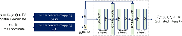Figure 3 for Continuous longitudinal fetus brain atlas construction via implicit neural representation